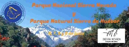 PUENTE DE LA REGI�N 